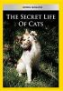 The_secret_life_of_cats