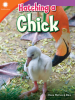 Hatching_a_Chick