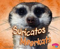 Meerkats__Suricatos