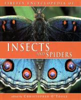Firefly_encyclopedia_of_insects_and_spiders