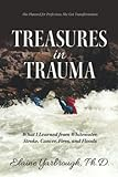 Treasures_in_trauma