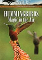 Hummingbirds_magic_in_the_air