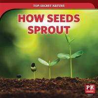 How_seeds_sprout