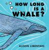 How_long_is_a_whale_