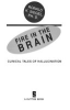 Fire_in_the_brain
