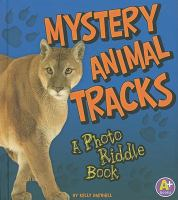 Mystery_animal_tracks